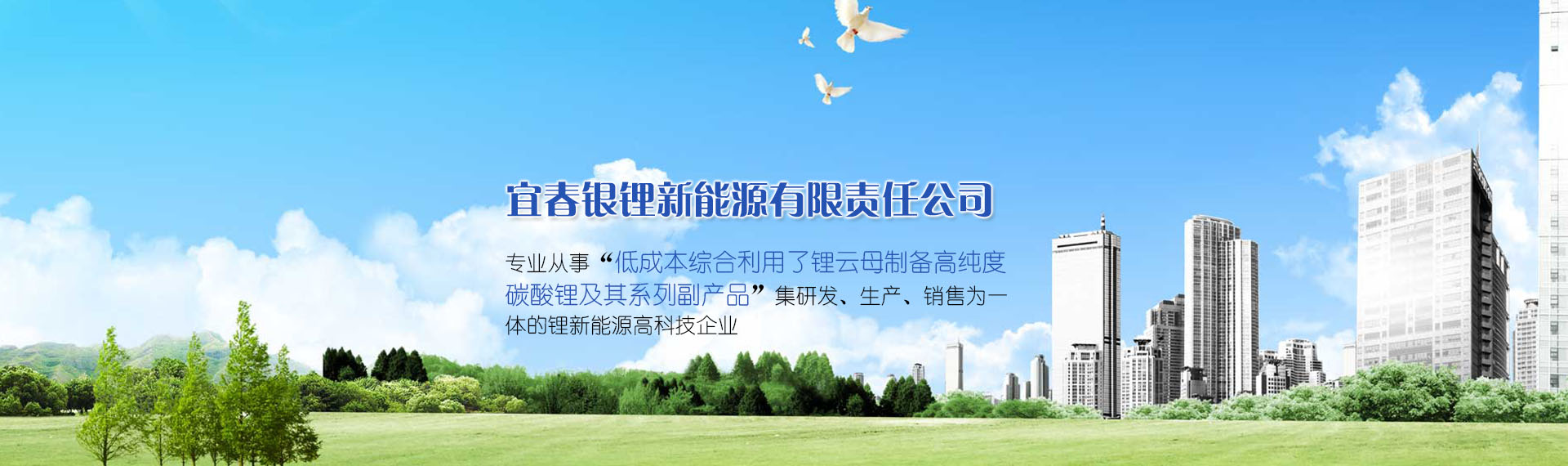 山東泰安東岳泰山衡器有限公司